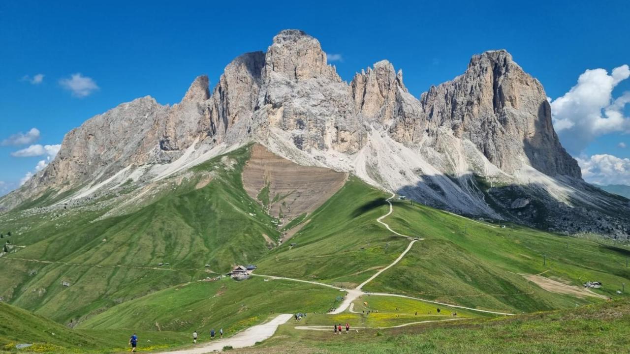 Cesa Pier Sellaronda Dolomiti Apartment Кампитело ди Фаса Екстериор снимка