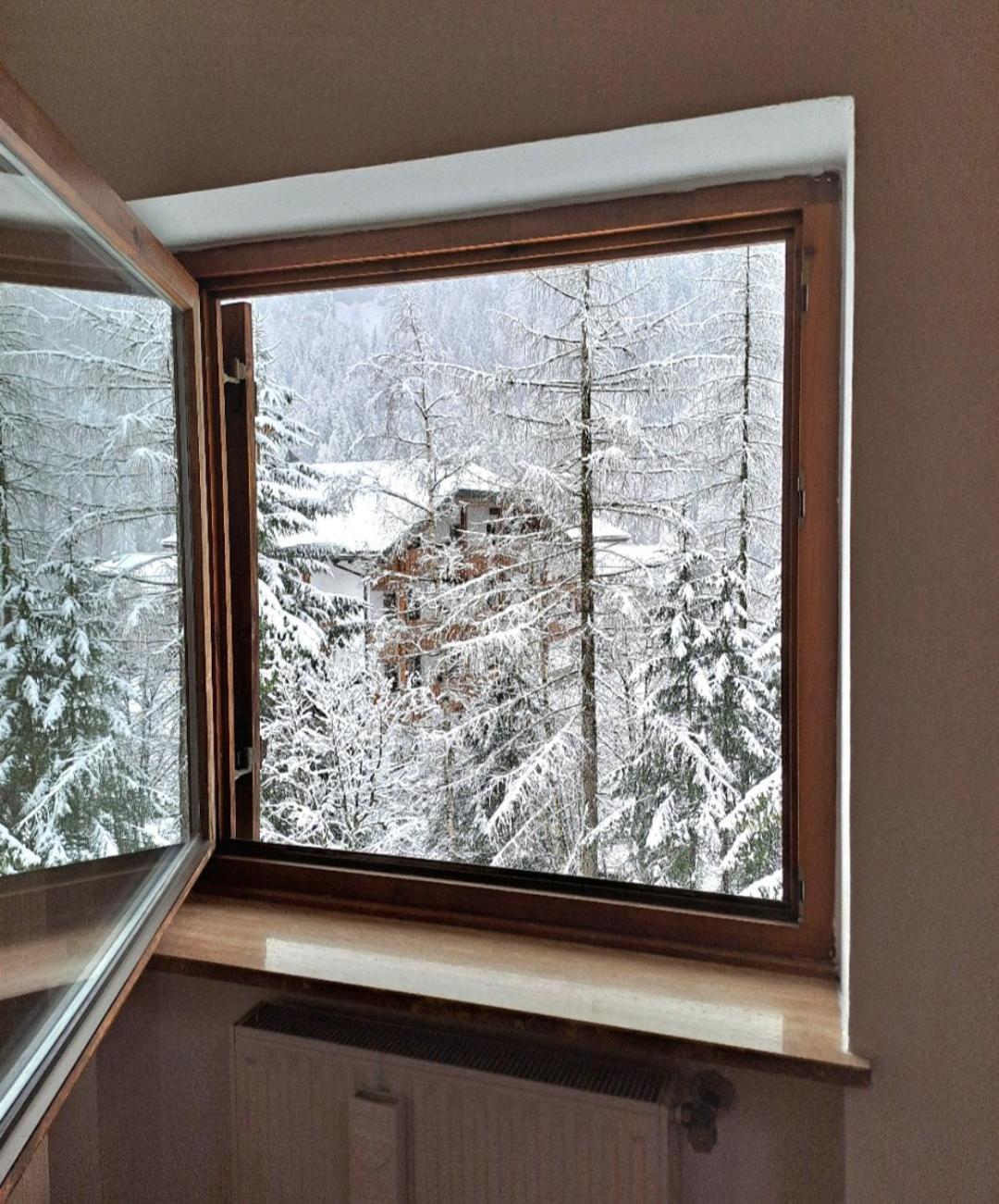 Cesa Pier Sellaronda Dolomiti Apartment Кампитело ди Фаса Стая снимка